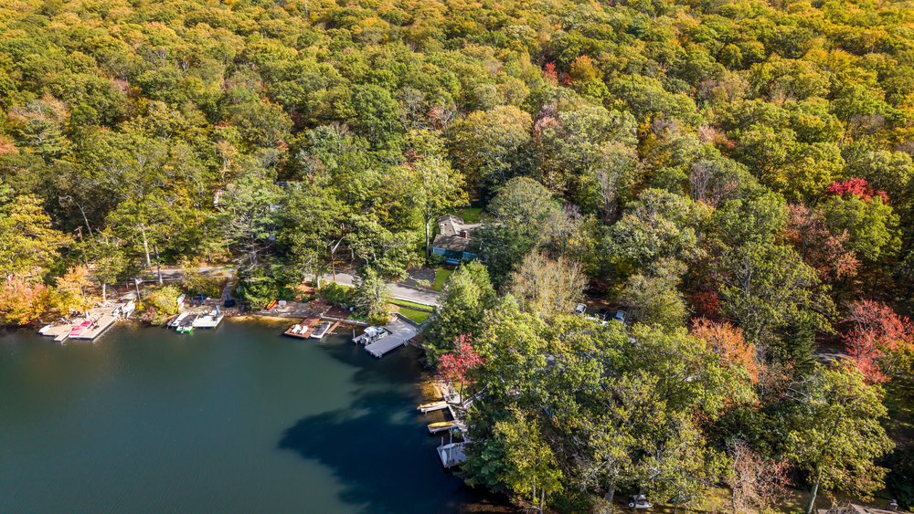 View Full Size Image