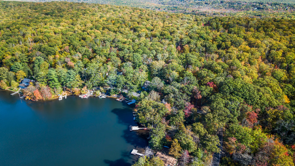 View Full Size Image