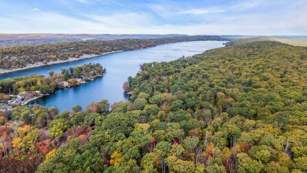 View Full Size Image