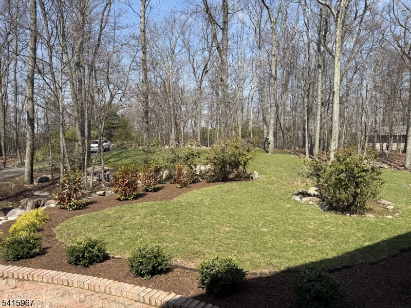 View Full Size Image