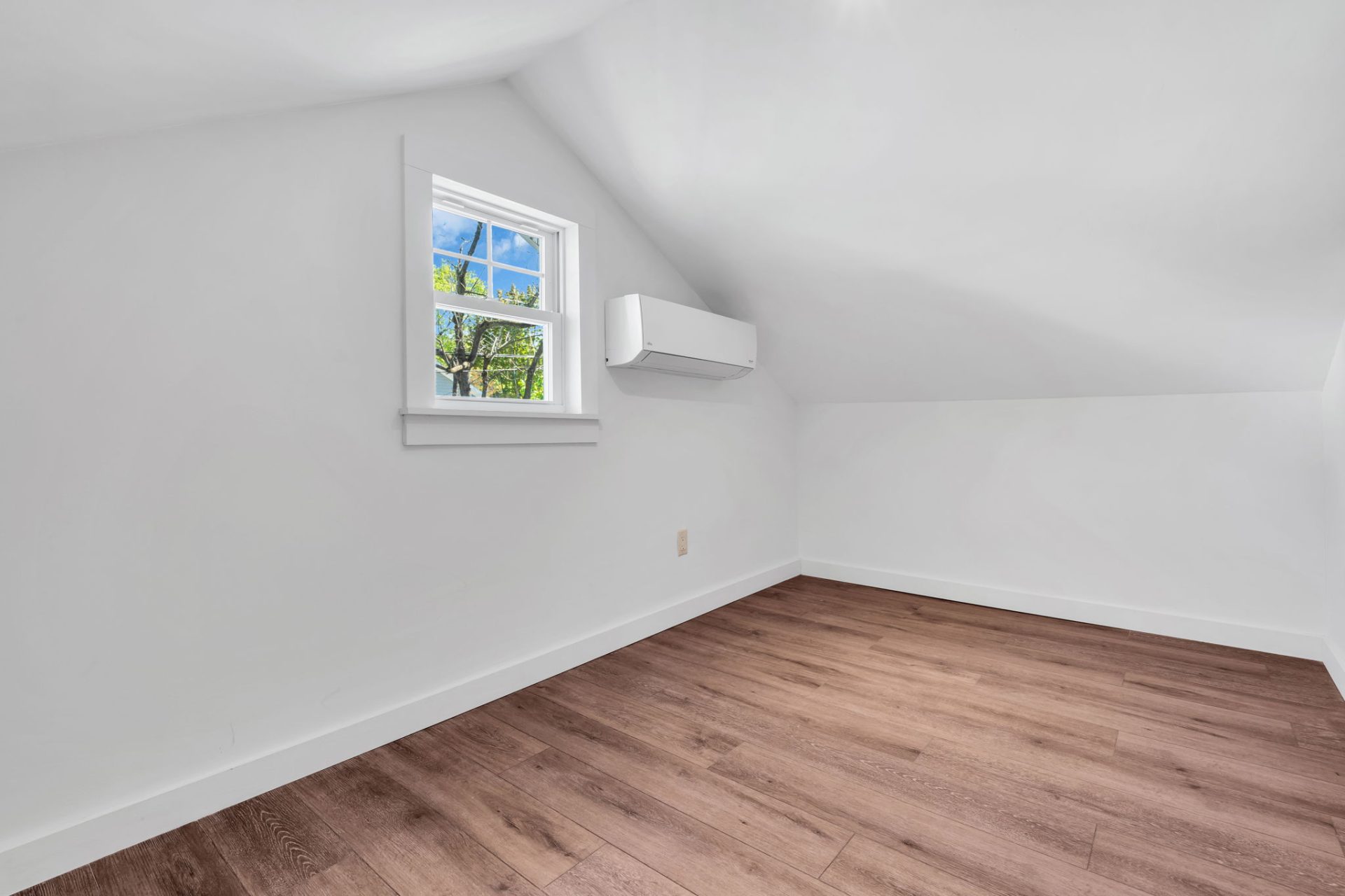View Full Size Image