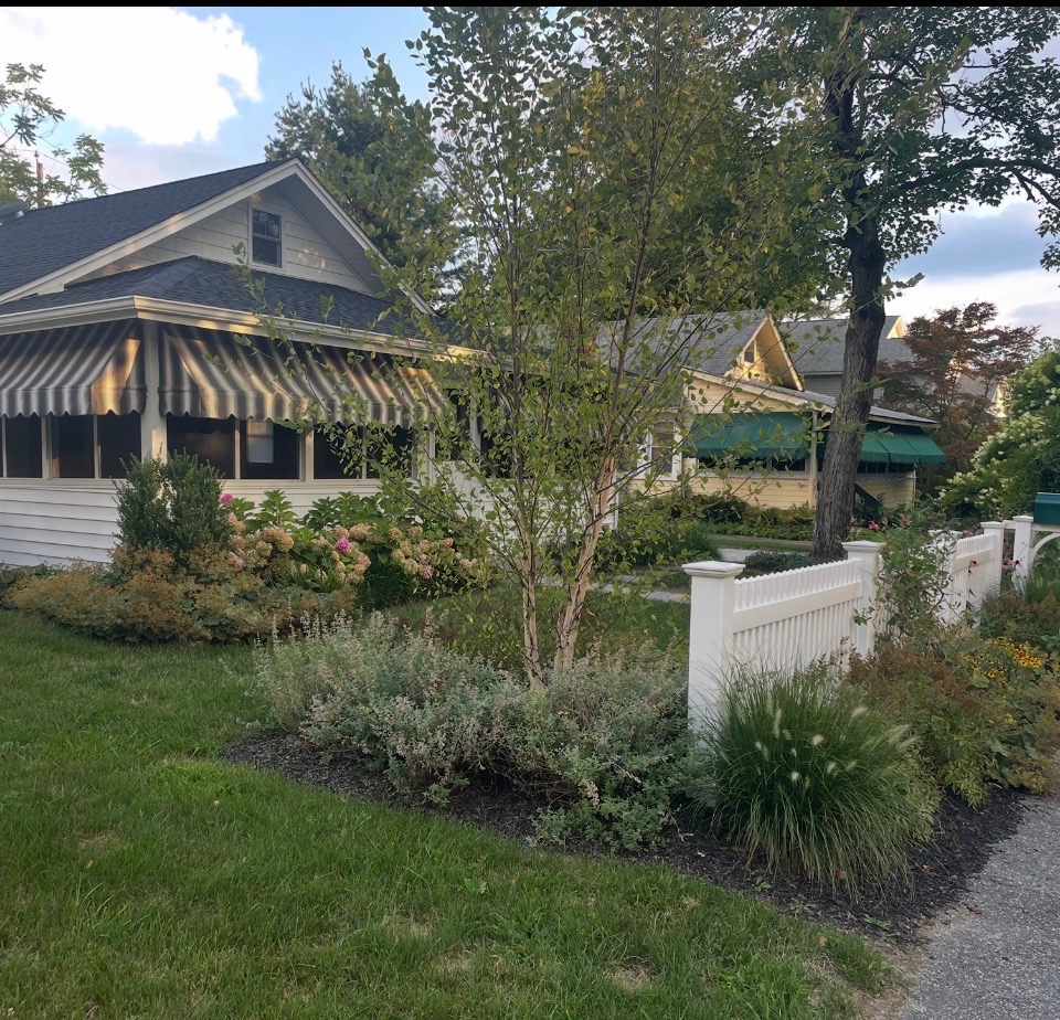 View Full Size Image