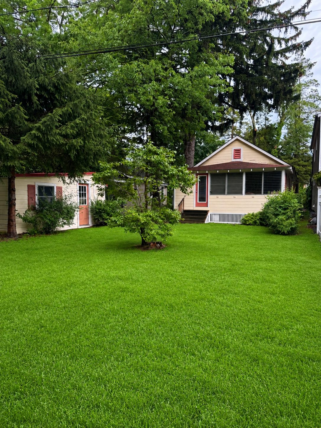 View Full Size Image