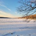 What Green Pond Looks Like in January