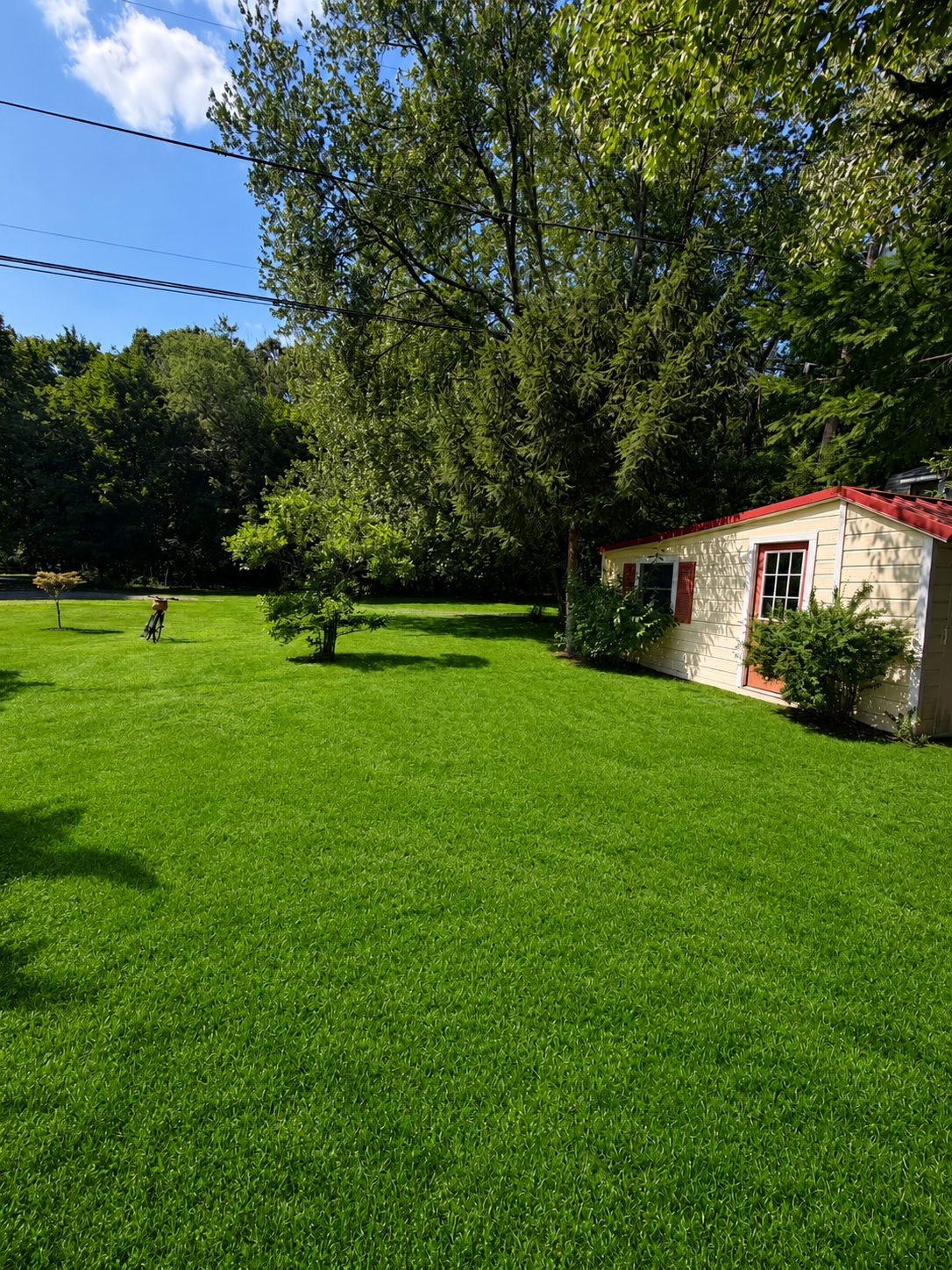 View Full Size Image